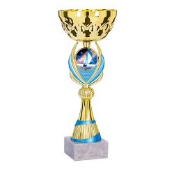 COUPES CLUBS et ASSOCIATIONS