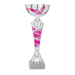 COUPES CLUBS et ASSOCIATIONS