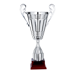 COUPES CLUBS et ASSOCIATIONS