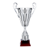 COUPES CLUBS et ASSOCIATIONS