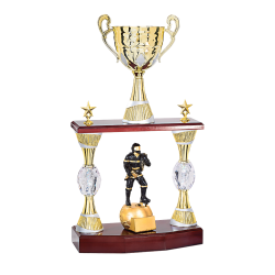 TROPHEE PERSONNALISE CLUBS et ASSOCIATIONS