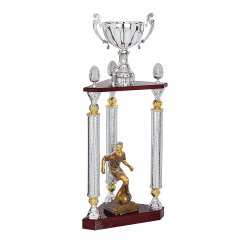 TROPHEE PERSONNALISE CLUBS et ASSOCIATIONS