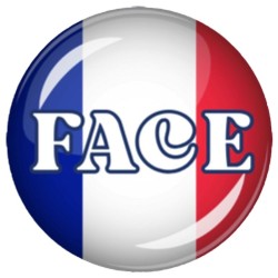 JETON PILE OU FACE AIMANTE FRANCE GDBoules