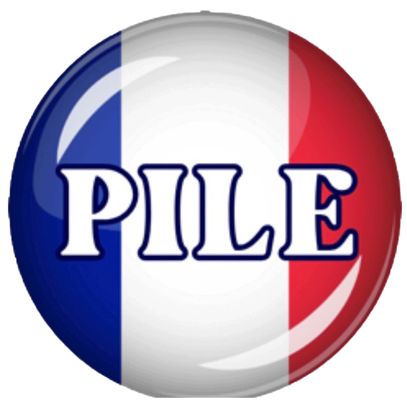 PILE ou FACE AIMANTE