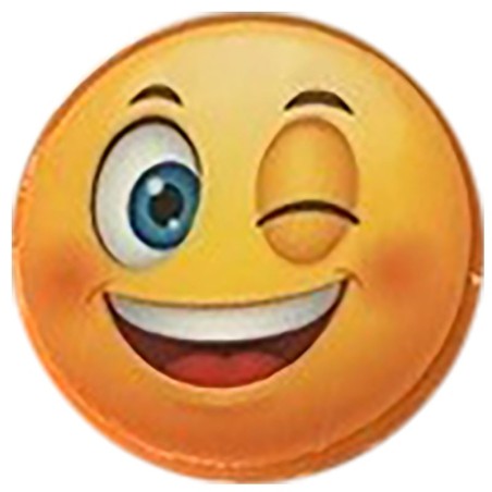 PILE OU FACE AIMANTE RIRE